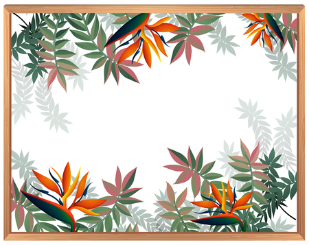 Paradise Bird Flower Blank Temoplate illustrationのイラスト素材