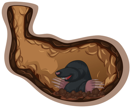 A Mole Living Underground Hole illustrationのイラスト素材
