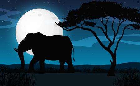Silhouette Elephant in Savana Night illustrationのイラスト素材