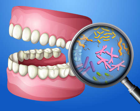 A Close-up Oral Bacteria illustrationのイラスト素材
