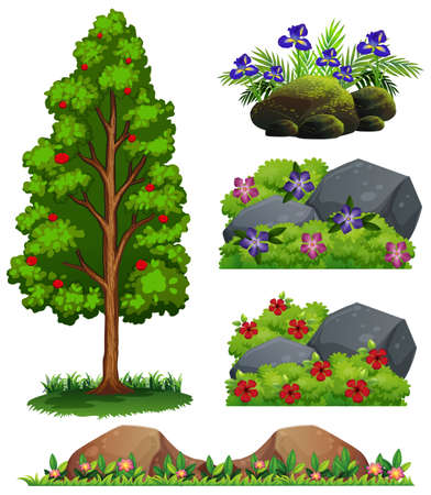 A Set of Forest Element illustrationのイラスト素材