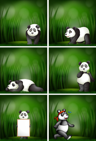 A set of panda illustrationのイラスト素材