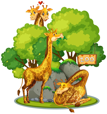 Giraffe in the zoo illustrationのイラスト素材
