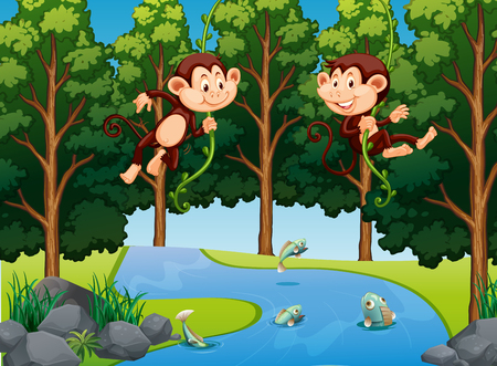 Monkey hanging on vine in forest illustrationのイラスト素材