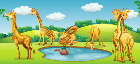 Happy giraffe in the nature illustrationのイラスト素材