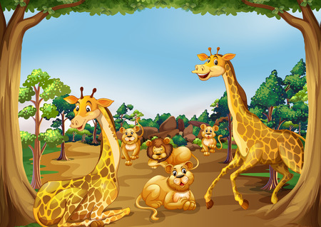 Wild animals in the forest illustrationのイラスト素材
