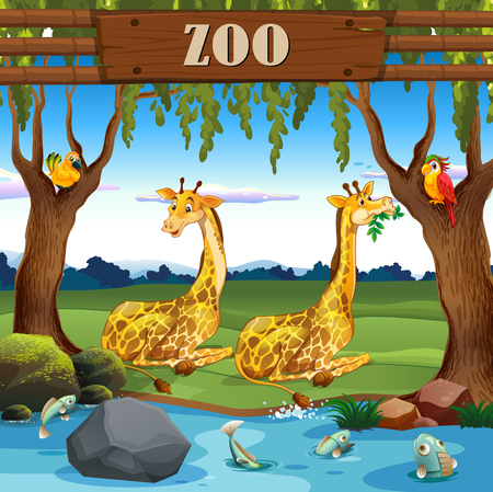 Giraffe in the zoo illustrationのイラスト素材