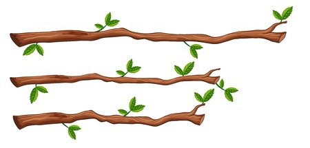 A set of tree branch illustrationのイラスト素材