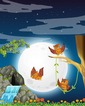 An owl in nature at night illustrationのイラスト素材