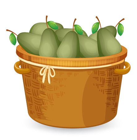 A basket of avocado illustrationのイラスト素材