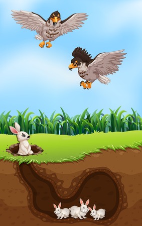 An eagle hunting rabbit illustrationのイラスト素材