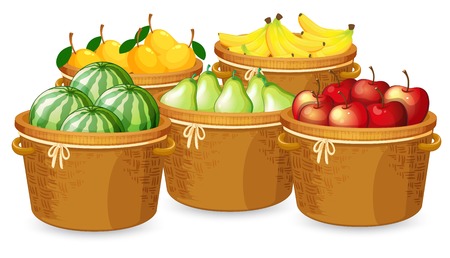 Isolated fruits in different basket illustrationのイラスト素材