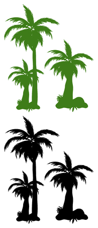 Set of palm tree  illustrationのイラスト素材