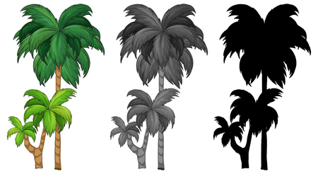 Set of palm tree  illustrationのイラスト素材