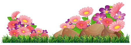 Isolated beautiful flower template illustrationのイラスト素材