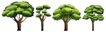 Set of different tree illustrationのイラスト素材