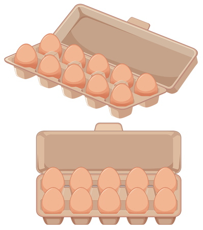 Isolated egg in carton illustrationのイラスト素材