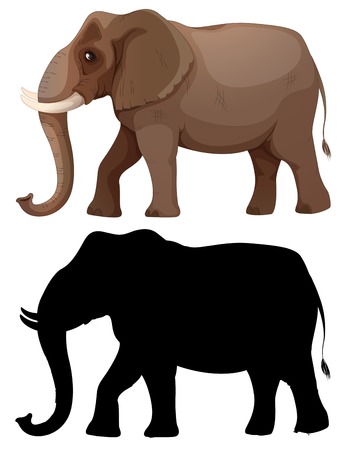 Set of elephant character illustrationのイラスト素材
