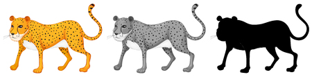 Set of cheetah character illustrationのイラスト素材