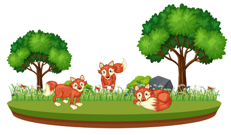 Fox in nature landscape illustrationのイラスト素材