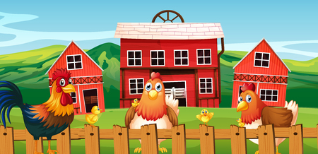 Chicken family at farmland illustrationのイラスト素材