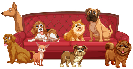 Different dog breeds at sofa illustrationのイラスト素材