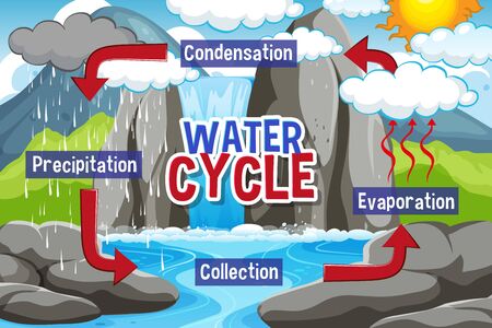Water cycle process on Earth - Scientific illustrationのイラスト素材
