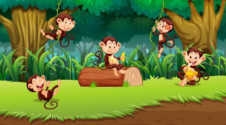 Monkey in jungle scene illustrationのイラスト素材