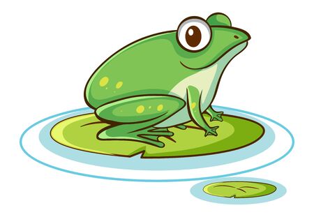 Green frog on white background illustrationのイラスト素材