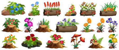 Large set of colorful flowers on rocks and wood illustrationのイラスト素材