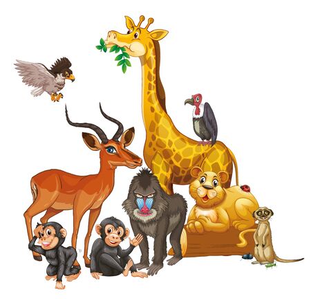 Many wild animals on white background illustrationのイラスト素材