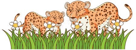 Isolated picture of cheetahs in garden illustrationのイラスト素材