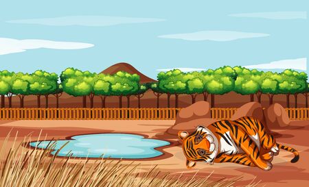Scene with tiger in the zoo illustrationのイラスト素材