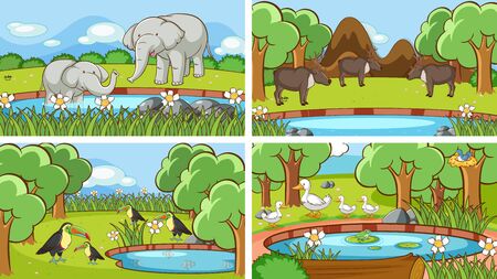 Background scenes of animals in the wild illustrationのイラスト素材