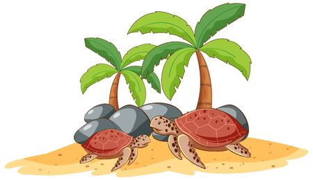 Two sea turtles on white background illustrationのイラスト素材