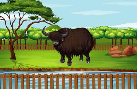 Scene with buffalo in open zoo illustrationのイラスト素材