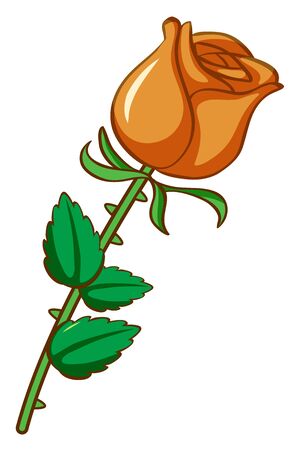 Orange rose on white background illustrationのイラスト素材