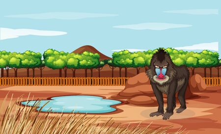 Scene with baboon in the zoo illustrationのイラスト素材