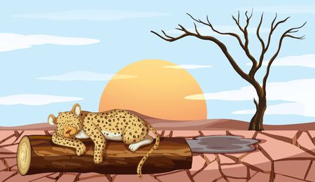 Background scene with tiger and drought illustrationのイラスト素材