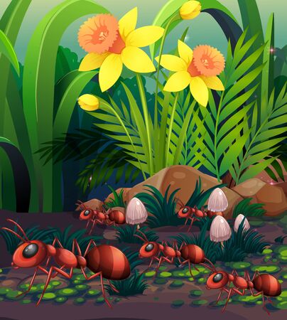 Nature scene with ants and mushroom illustrationのイラスト素材
