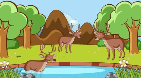 Scene with deers in the forest illustrationのイラスト素材