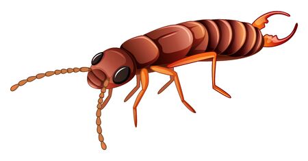 Termite on white background illustrationのイラスト素材