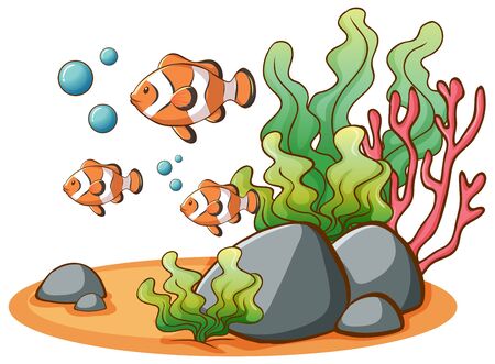 Clownfish swimming on white background illustrationのイラスト素材