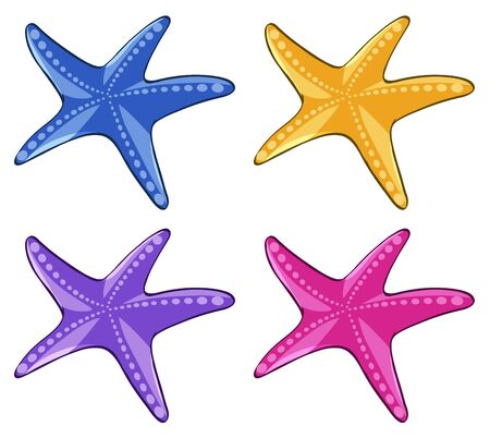 Starfish in four different colors illustrationのイラスト素材