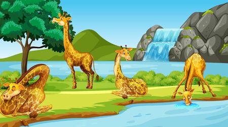 Scene with giraffes by the river illustrationのイラスト素材