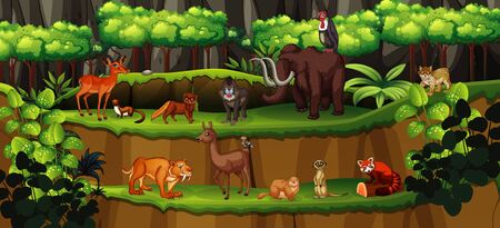 Scene with many animals in forest illustrationのイラスト素材