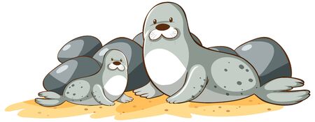 Gray seals on white background illustrationのイラスト素材