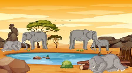 Skinny elephants in the field illustrationのイラスト素材