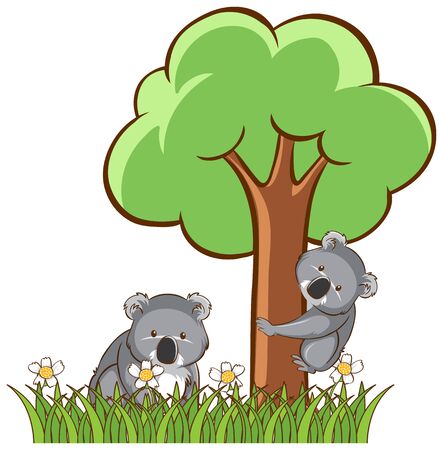 Isolated picture of koalas in garden illustrationのイラスト素材