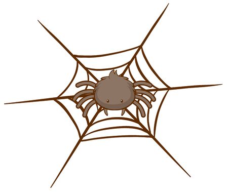 Spider on web on white background illustrationのイラスト素材
